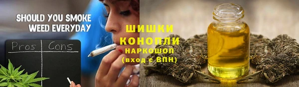 шишки Алзамай