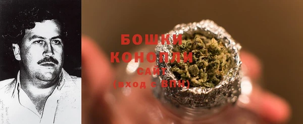шишки Алзамай