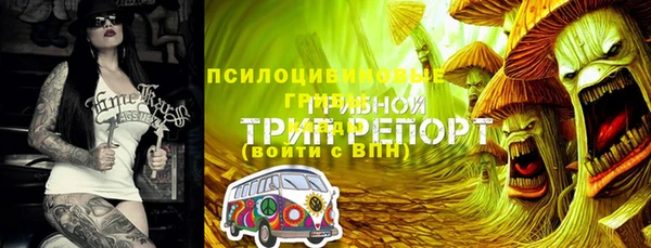 шишки Алзамай