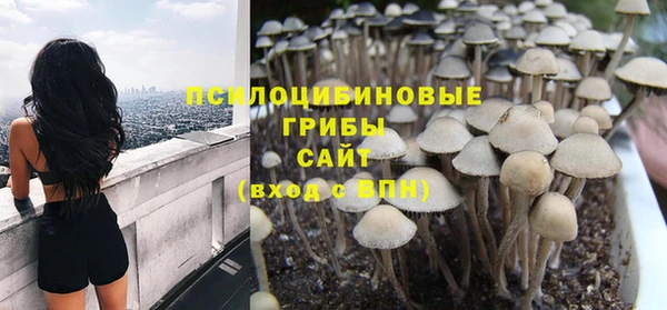 шишки Алзамай