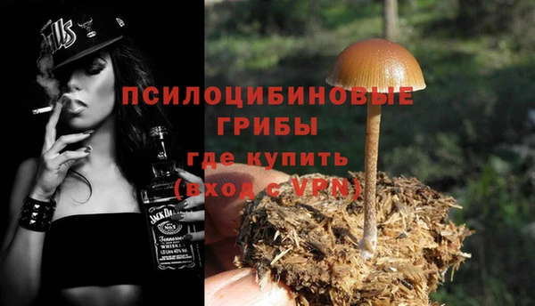 шишки Алзамай