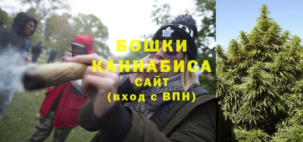 шишки Алзамай