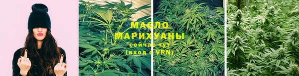 spice Инсар