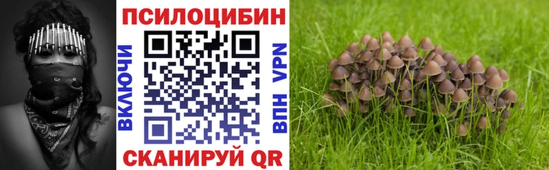 Псилоцибиновые грибы Psilocybine cubensis  что такое наркотик  Боровск 